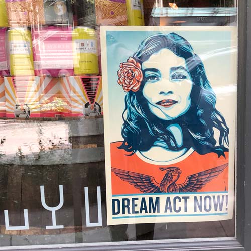 Illustration einer jungen Frau mit den Worten "Dream Act Now!" als Symbolbild für ein Vorgespräch mit SaSaCoaching.