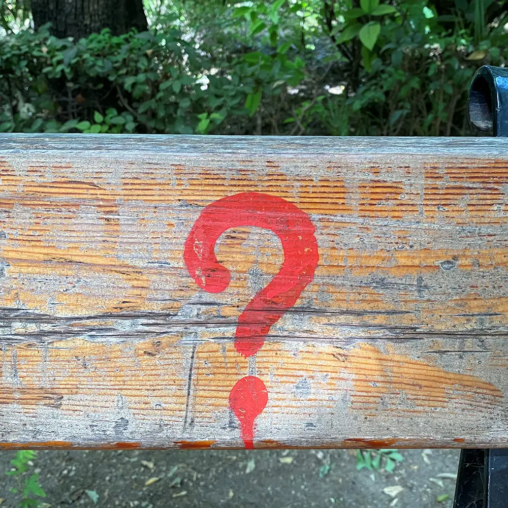 Ein rotes Fragezeichen auf einem Holzbalken in Berlin als Symbolbild für das lokale Coaching Walk ´n Talk in Berlin mit Sabine Samonig.