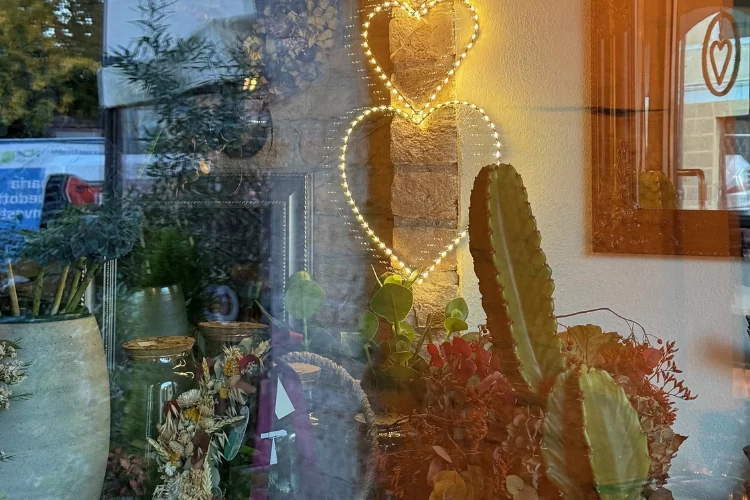 sabine-samonig-sasa-coaching_Licht-Natur-Wohlbefinden